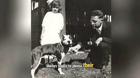 Pitbulls In The Early 1900s