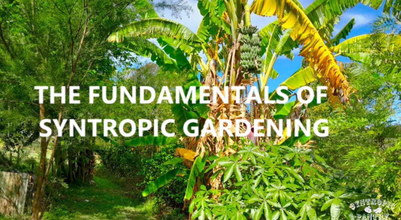 The Fundamentals of Syntropic Gardening