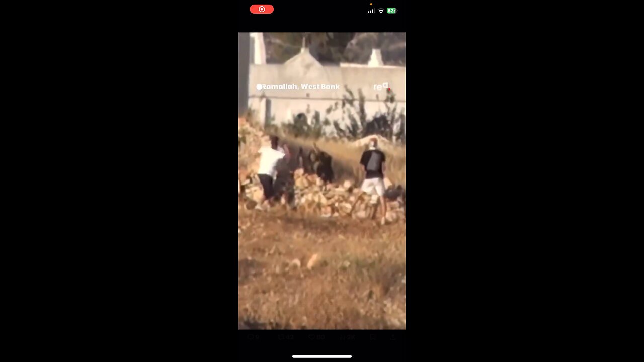 IDF coward