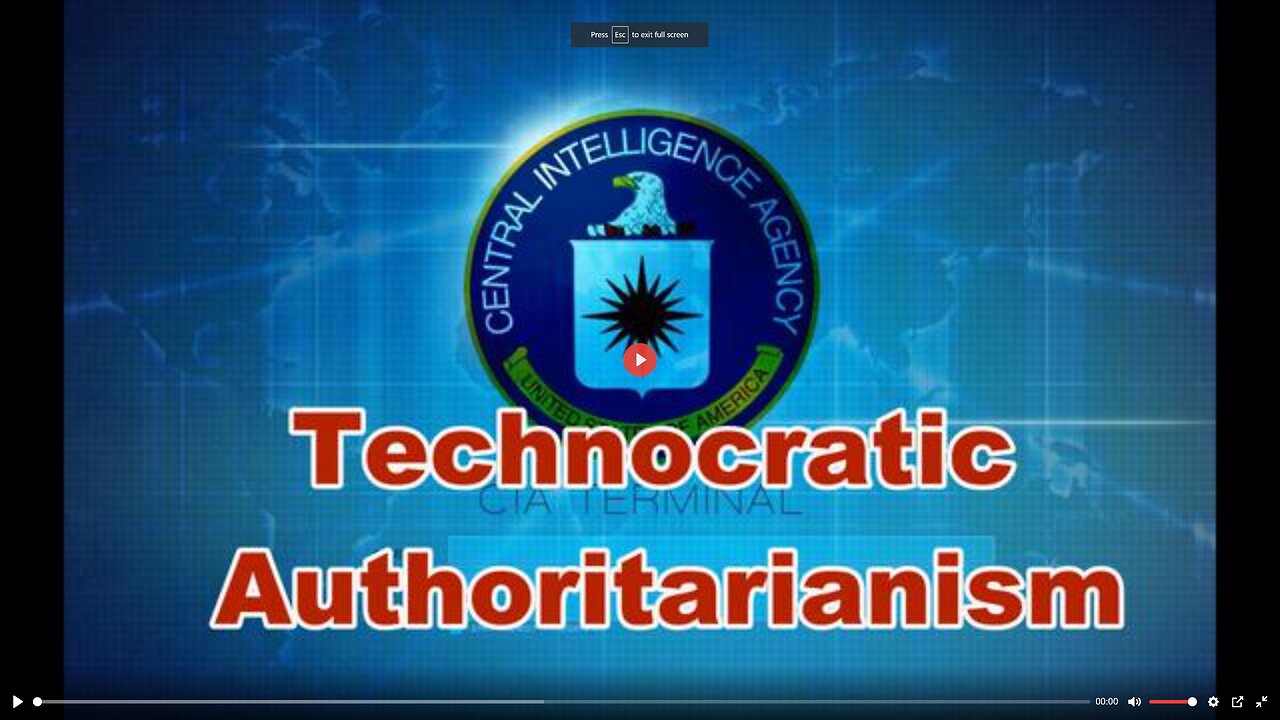 Technocratic authoritarianism