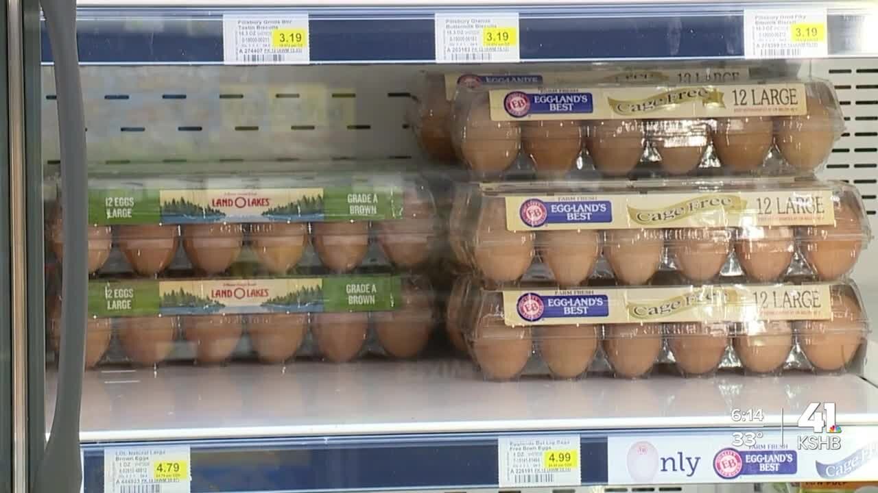 Going 360: Examining rising prices of eggs, impact on consumers