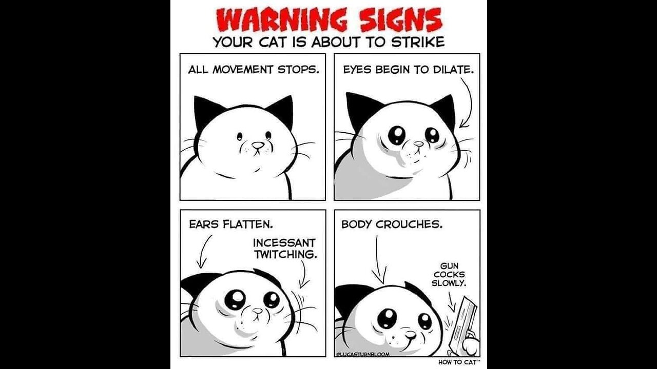 Warhammer 40K: Darktide