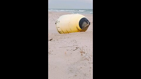 Buoy washed ashore