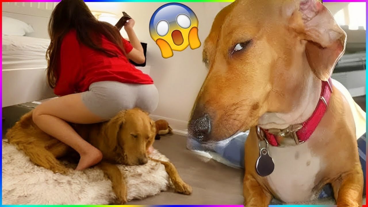 Funny Animals Compilation 2023 | Try not to Laugh | Animals video