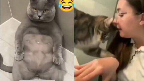 Funny Cats Video 2023 - Try Not To Laugh