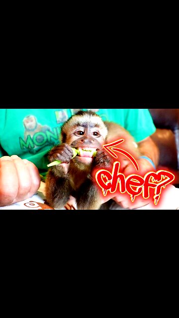 The Ape Takeover Is Upon Us