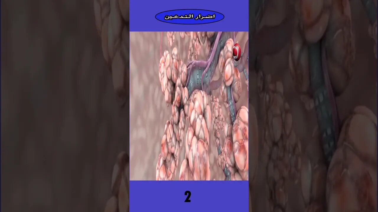 أضرار التدخين معلومات مفاجئة - The harms of smoking surprising information (English Subtitle)