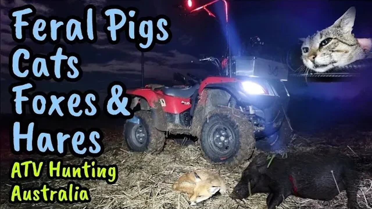 ATV Hunting Australia - Thermal Shooting Pigs, Feral Cats, Foxes & Hares