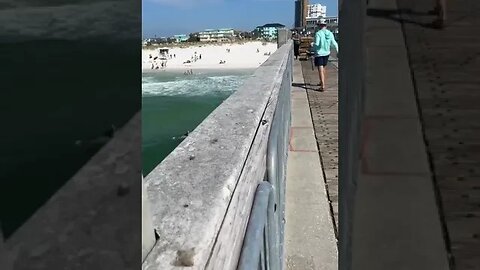 Pier shenanigans