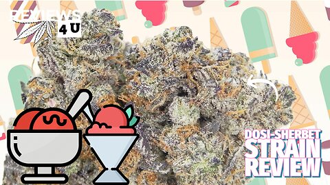 DOSI-SHERBET AAAA (STRAIN REVIEW) | REVIEWS 4 U