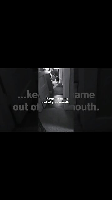 Ava Says Nope to the Camera & Tarot Readings