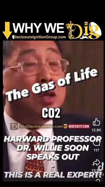 Carbon Dioxide The Gas of Life