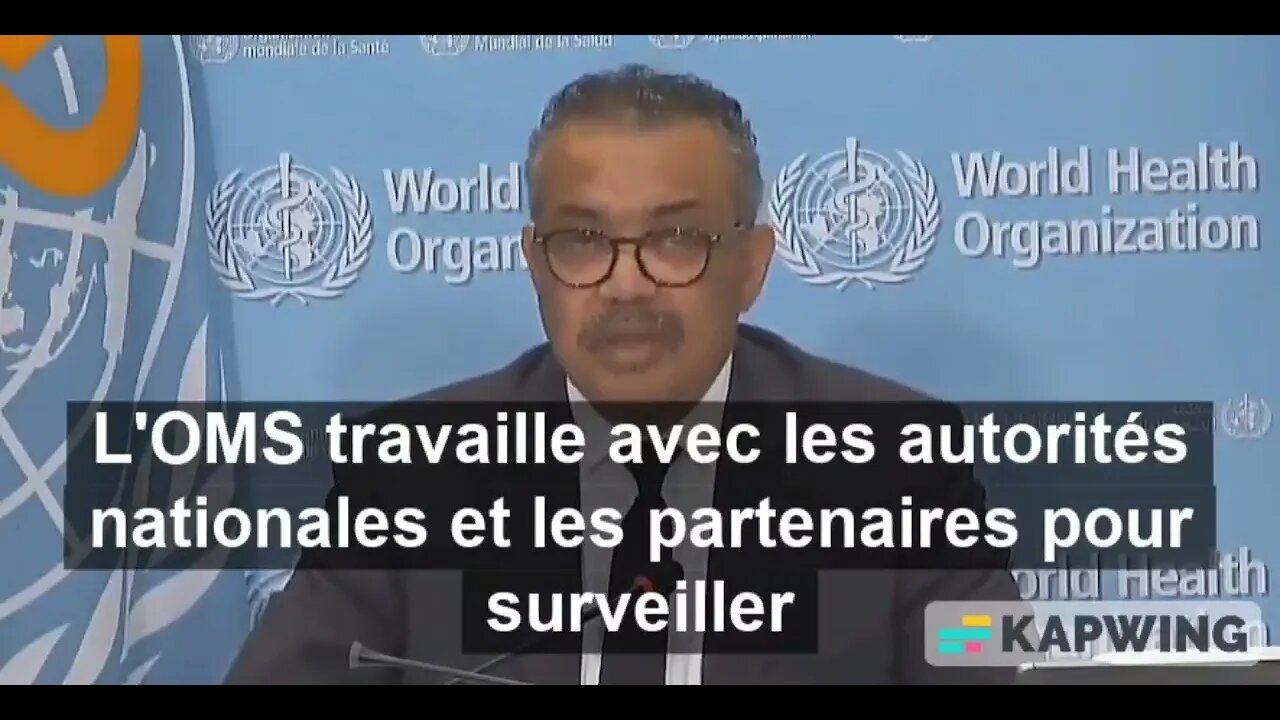 L'OMS avertit que "nous devons nous préparer" à une éventuelle pandémie de grippe aviaire humaine
