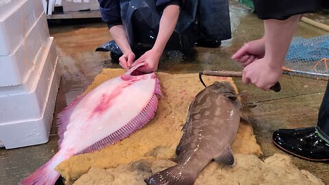 【活け締め】IKEJIME method, The right way to dispatch fish.