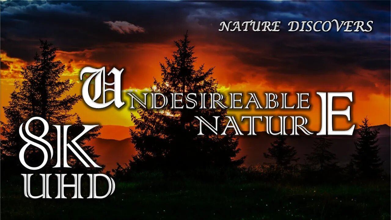 Undesirable Nature 🏞🏞 With Relaxing♫ ♬ || Nature Relaxing || Stress Reduced Music|| 8K UHD Quality