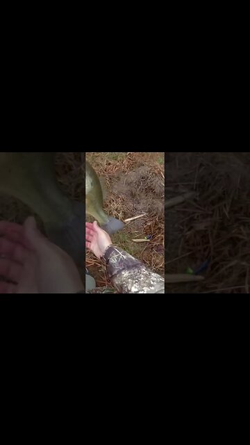 The One That ALMOST Got Away