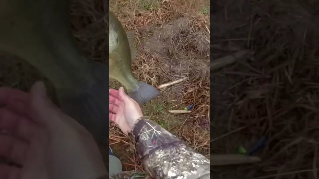The One That ALMOST Got Away