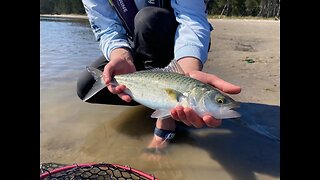 Saltwater Fly Fishing New Zealand l Aotearoa