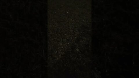 02/01/2023 A #gangstalking plane flew over my head