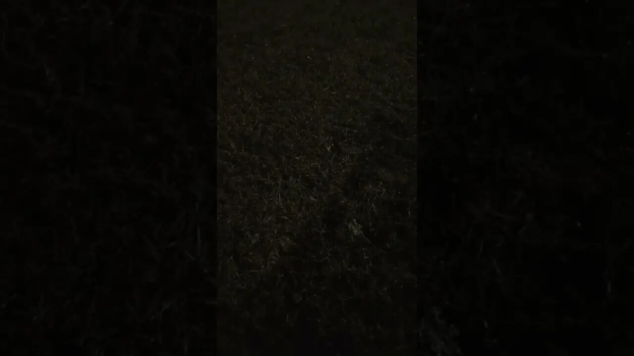 02/01/2023 A #gangstalking plane flew over my head