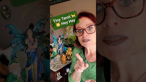 Tiny Tarot- 🐱🐈 gratuitous cat advertisement #lowkeymagickal #tinytarot #tarot #dailytarot #cat