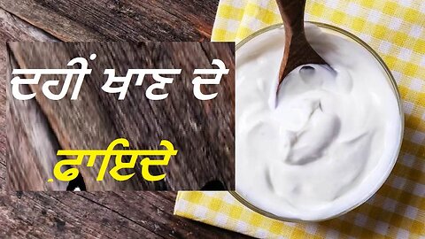 curd benefits