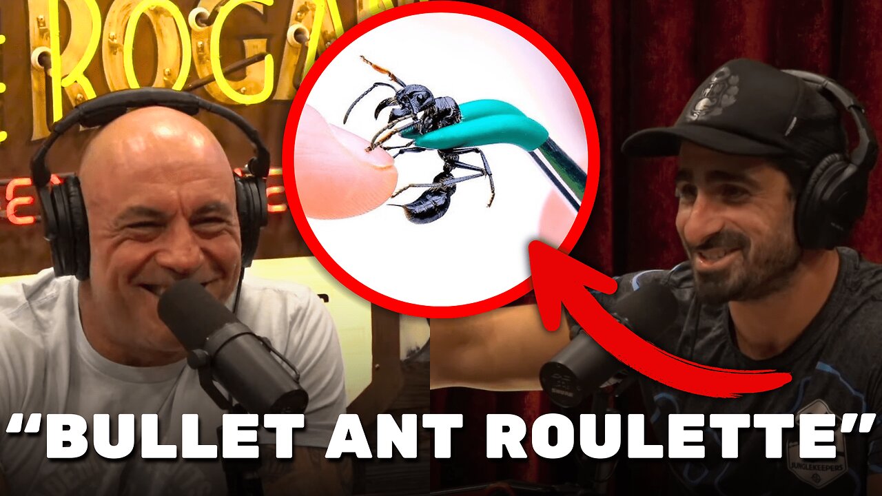 Paul Rosolie Plays "Bullet Ant Roulette" With The World's MOST PAINFUL Biting Ant