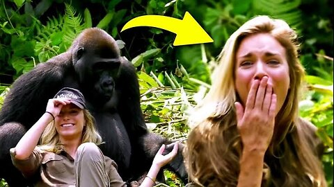 When this woman got to close to WILD GORILLAS and the unexpected happened😳❤️