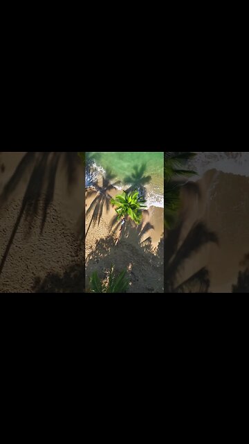 Paradise beach Punta Uva, according to many tourists - the best in Costa Rica.