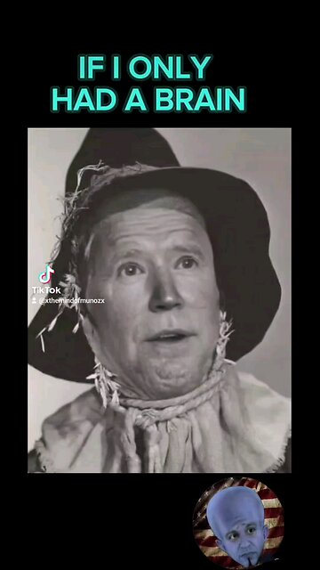 IF HE ONLY HAD A BRAIN