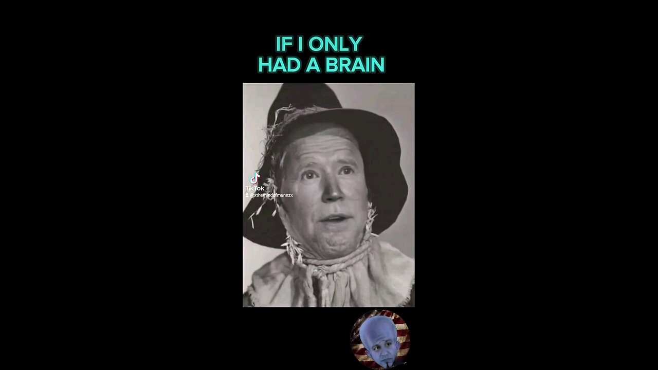 IF HE ONLY HAD A BRAIN