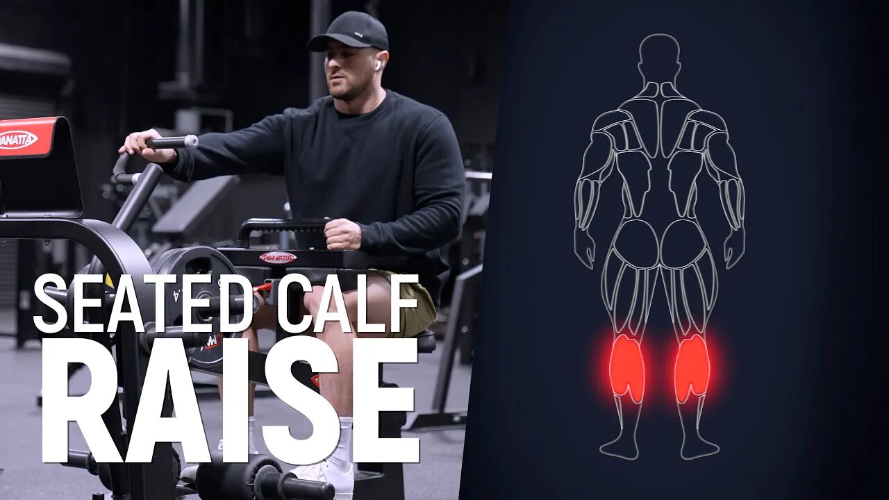 Seated Calf Raise