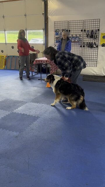 Scent practice 5/5/24