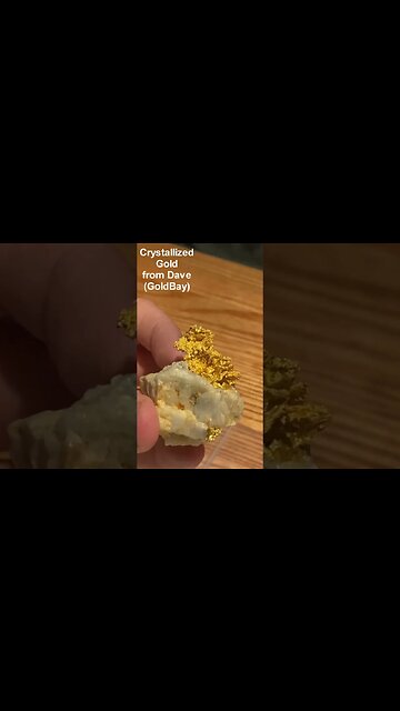 $24,000 Crystallized Gold