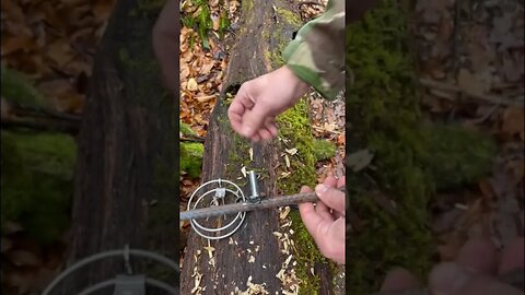 Mink Squirrel Trapping - RBG Round Bodygrip Stabilizer