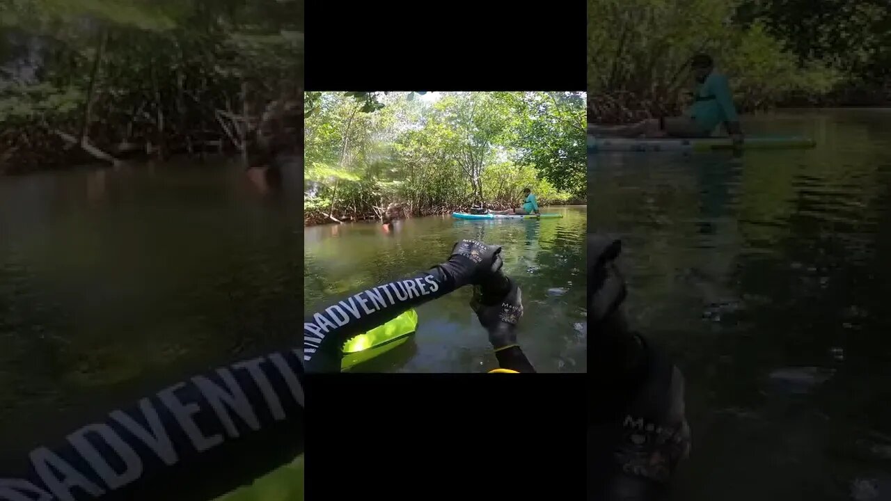 Stupid decision to taste this liquid while diving the river