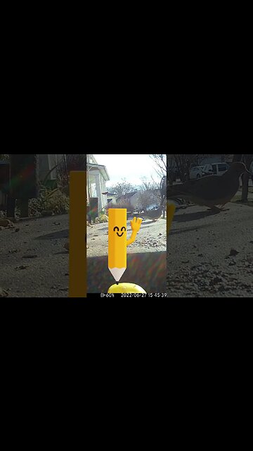 A Cute Pencil Visits #Shorts 😎