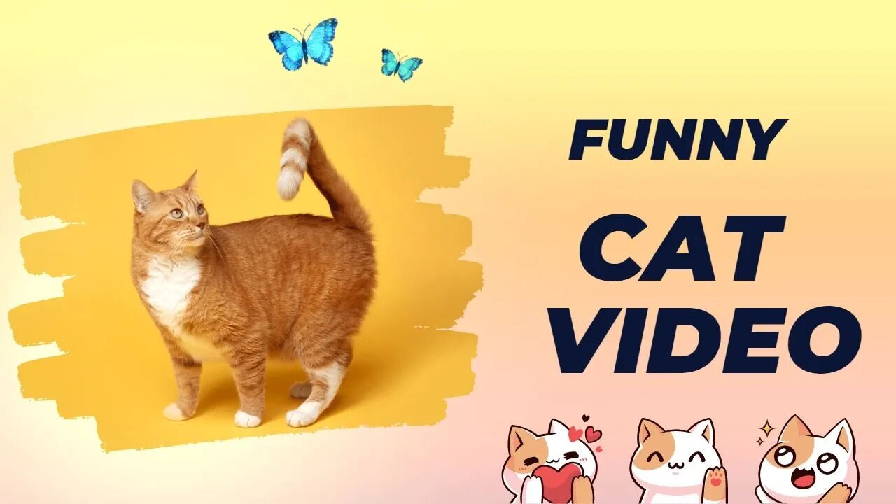 Funniest Animals - Best Of The 2023 Funny Cat Videos