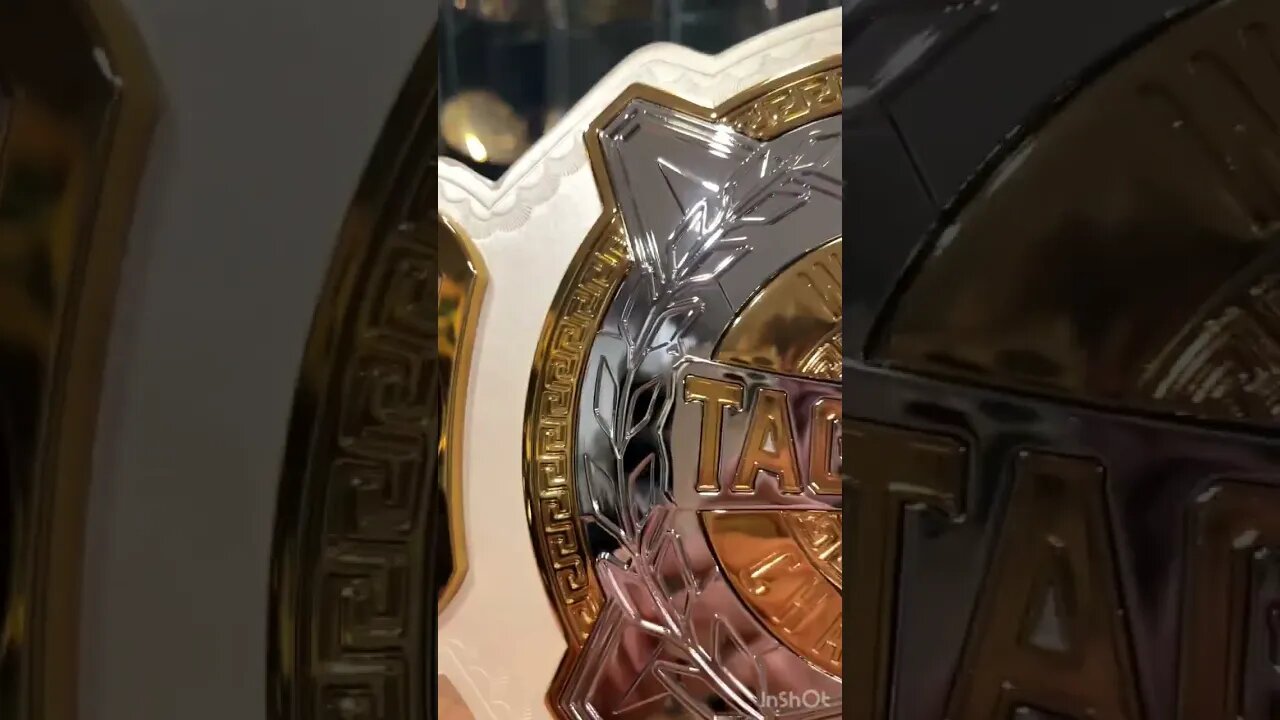 WWE Women's Tag Team Replica Title Belt Unboxing! #shorts