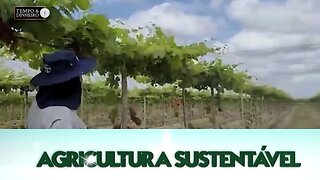 Agricultura Sustentável: Com Frederico Olivi