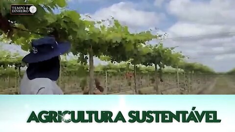 Agricultura Sustentável: Com Frederico Olivi