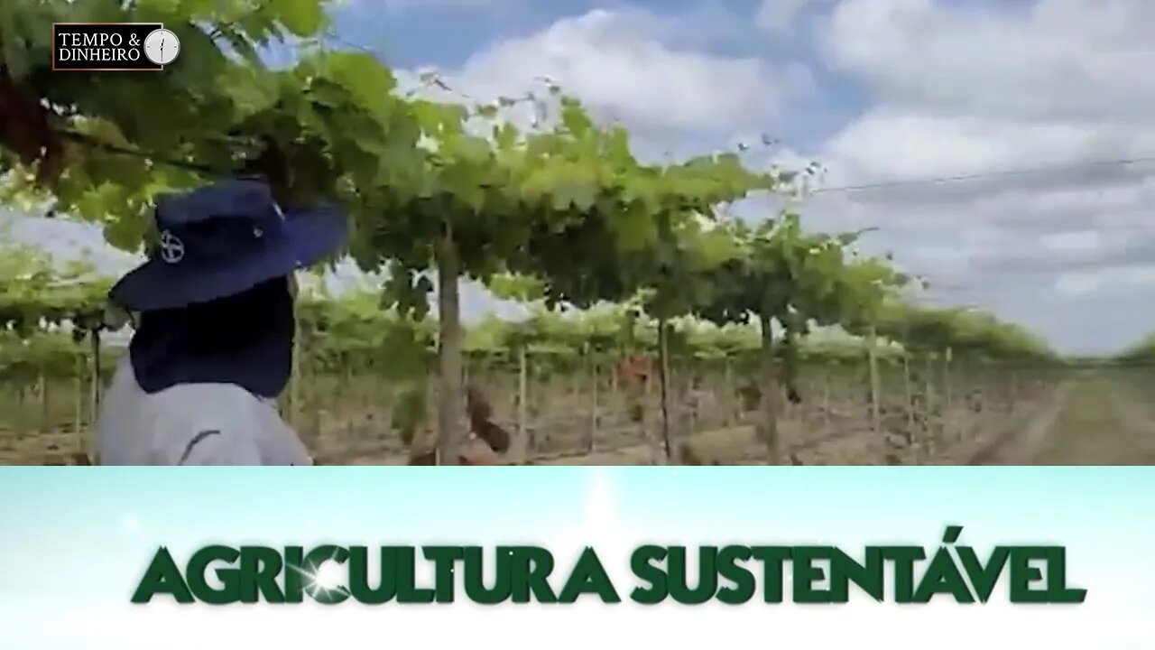 Agricultura Sustentável: Com Frederico Olivi