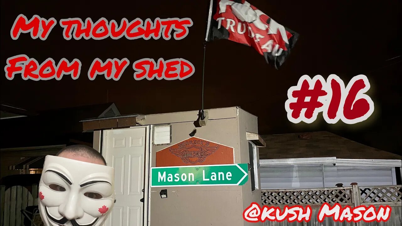 My thoughts from my shed #16 #live