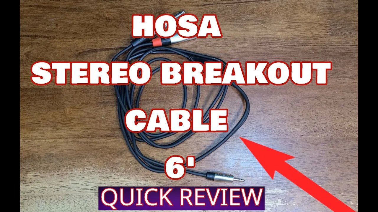 Hosa 6 Foot Stereo Breakout Cable, Works Great