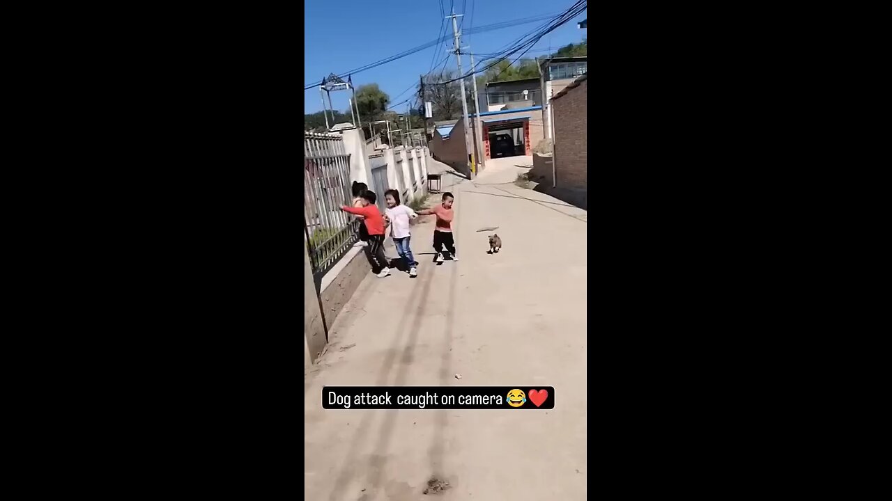 cute dog and kids playing with each other