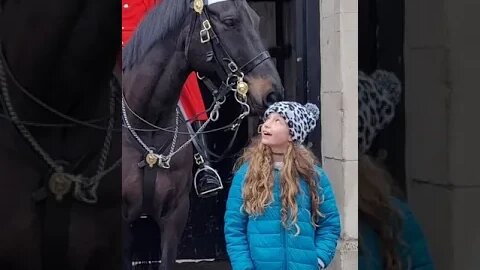 The kings Guards horse so friendly #horseguardsparade