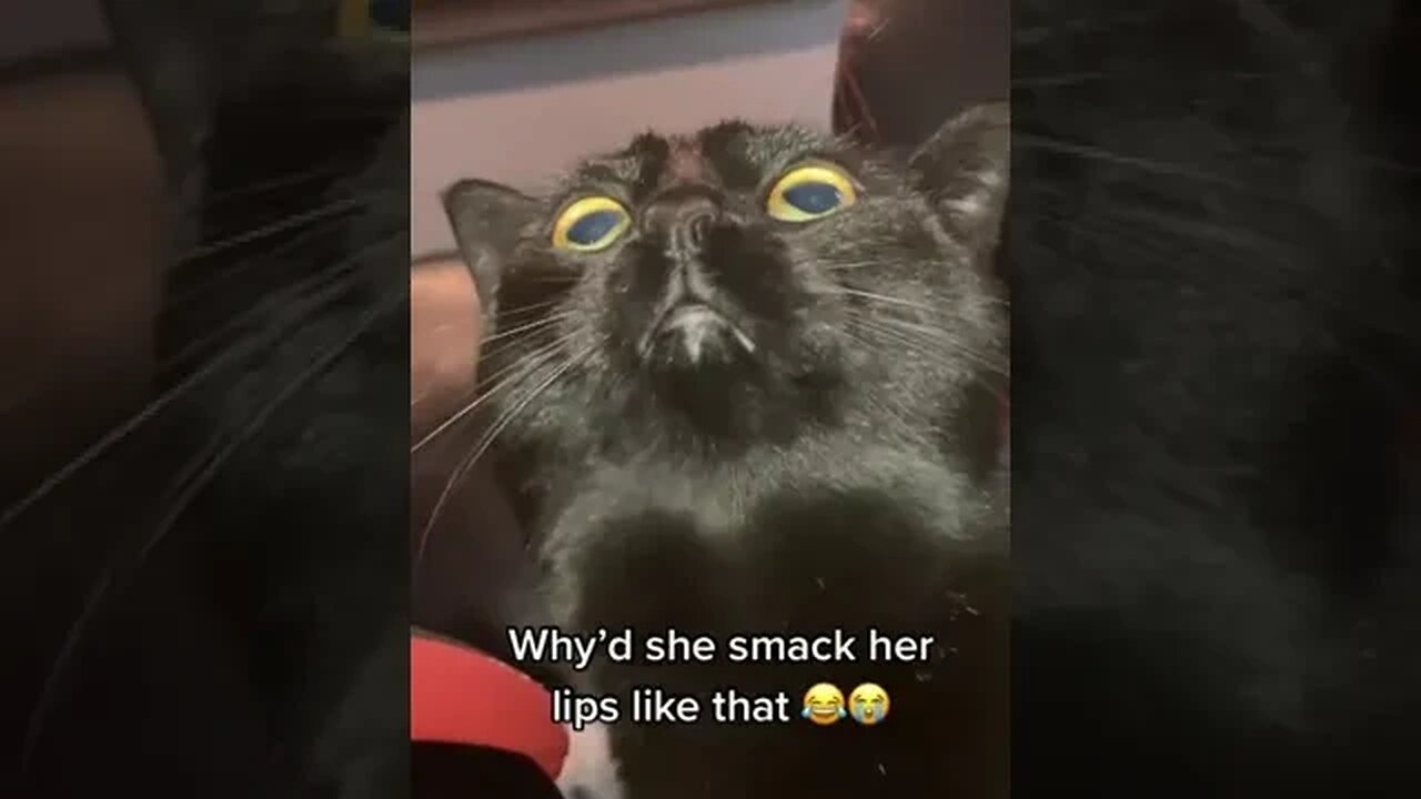 Why Is He Doing That tiktok getitgorl