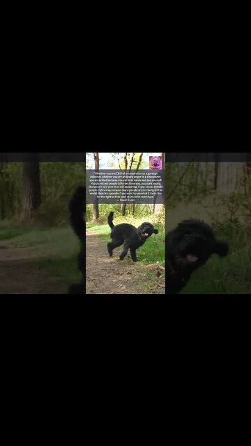 The Light that Looks Back at You with OPEN EYES #shorts #universemessage #trueself