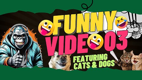 Funny Video 03: Hilarious Pets funny video collection