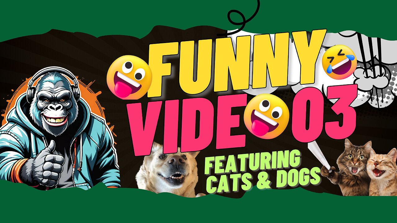 Funny Video 03: Hilarious Pets funny video collection